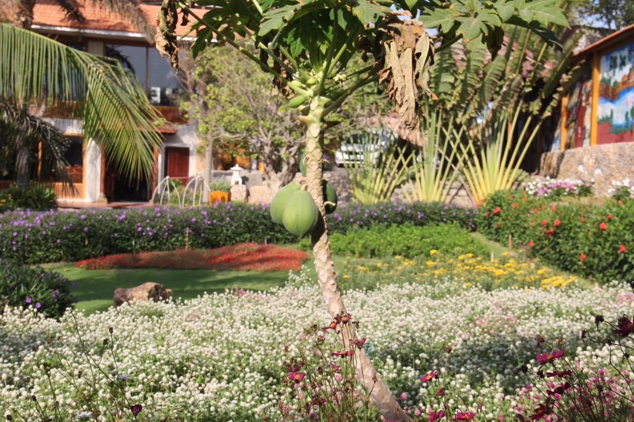 Ca Ty Muine Beach Resort & Spa Mui Ne Exterior photo